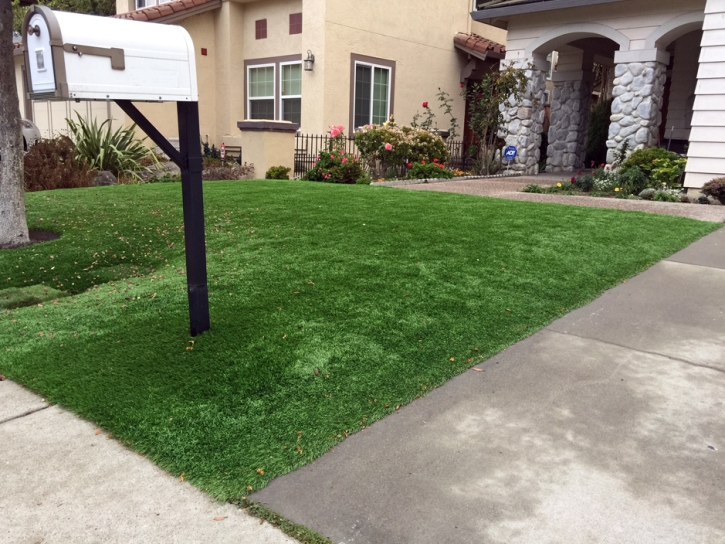 Turf Grass Medaryville, Indiana Landscape Design, Landscaping Ideas For Front Yard