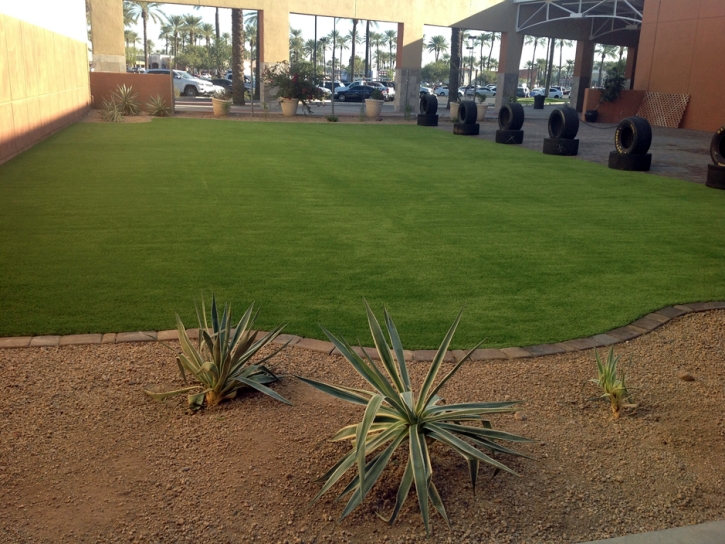 Turf Grass Nashville, Indiana Garden Ideas, Commercial Landscape