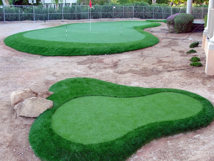 Turf Grass New Salisbury, Indiana How To Build A Putting Green, Front Yard Ideas