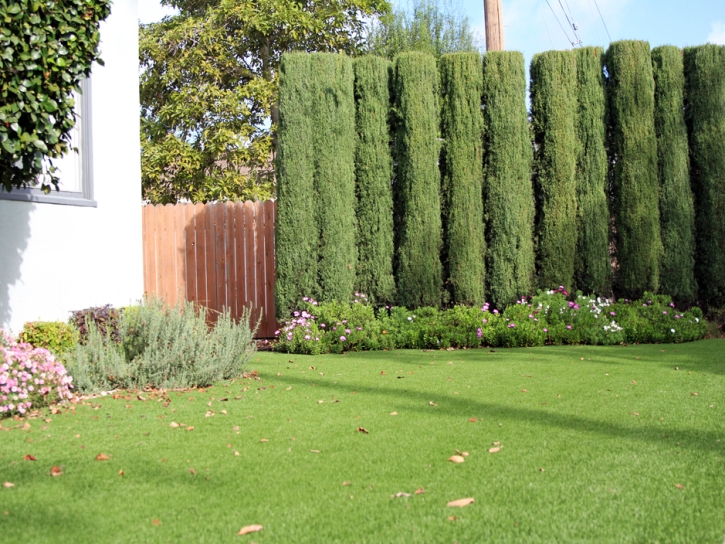 Turf Grass Plymouth, Indiana Rooftop, Small Front Yard Landscaping