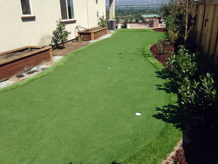 Turf Grass Washington, Indiana Putting Green, Backyard